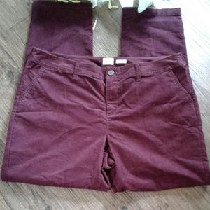 A New Day Stretch Corduroy Pants